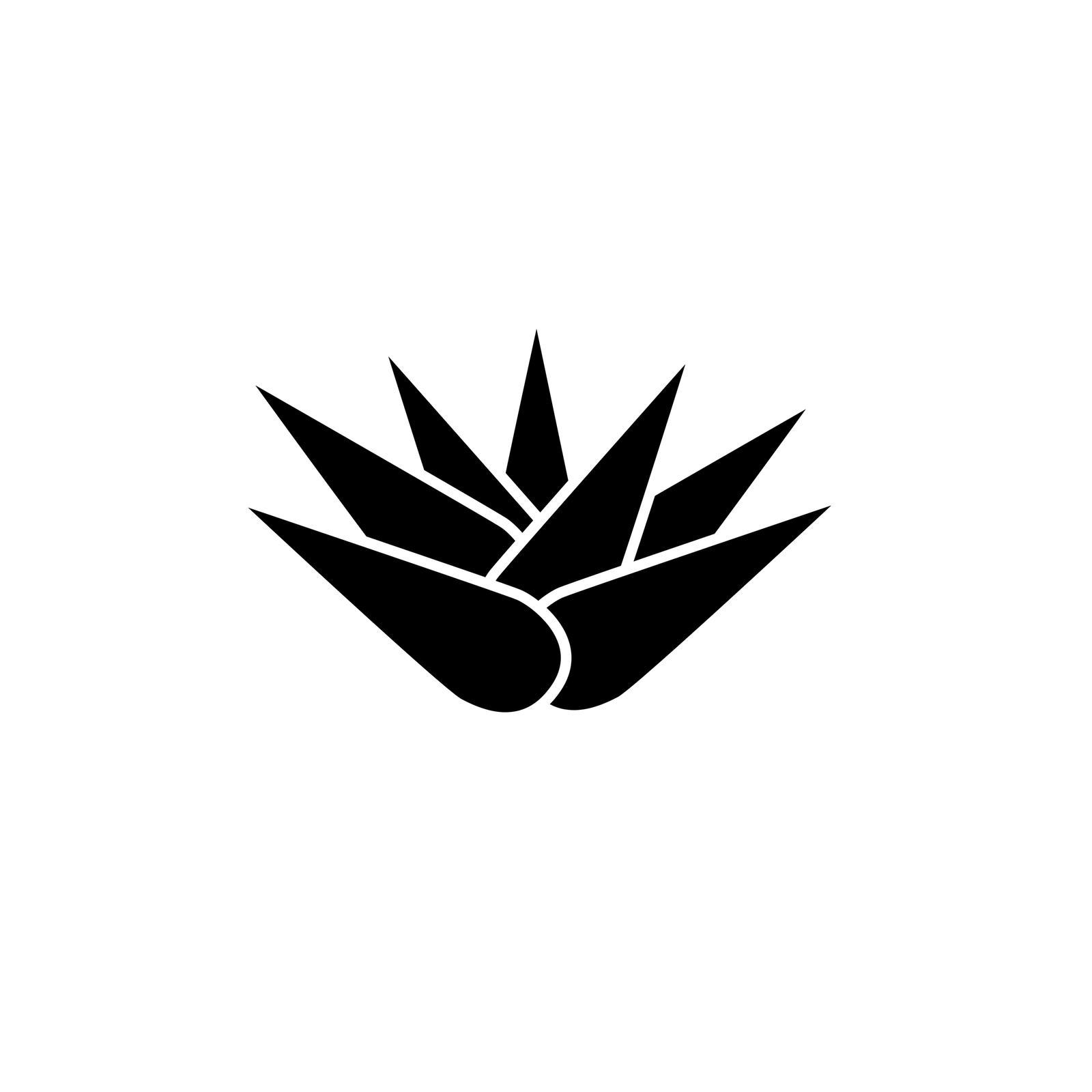 MAGUEY NEGRO